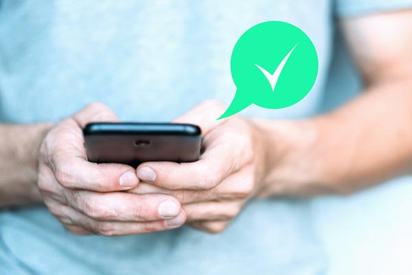 Der grüne Haken von WhatsApp Business